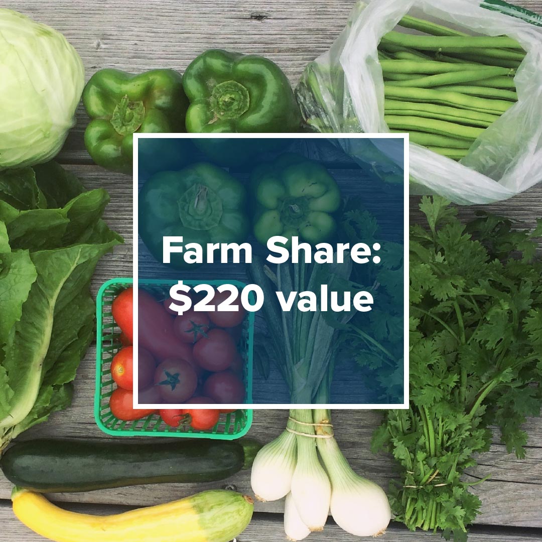vycc-farm-share-220 Farm Share $220 value