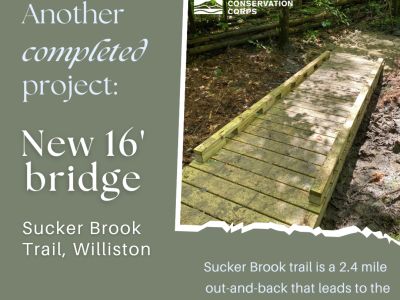 Completed Projects: July 2023 Edition Completed Projects: July 2023 Edition